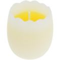 Floristik24 Svíčka ve vaječné žluti 5,5 cm 3ks