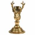 Floristik24 Svícen starožitného vzhledu hlava jelena zlatý kov 19,5cm