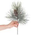 Umělá borovicová větev se šiškami, zimní, 40 cm | Floristik24.cz