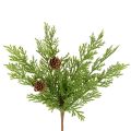 Floristik24 Umělá borovicová větvička se šiškami, 28 cm, 6 kusů