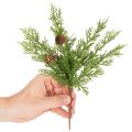 Umělá borovicová větvička se šiškami, 28 cm, 6 kusů | Floristik24.cz