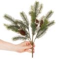 Umělá jedlová větvička s ozdobou z kužele, 41 cm | Floristik24.cz