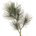 Floristik24 Umělá borovicová větvička na dekoraci stolu a do vázy, 70 cm