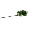 Floristik24 Uměle zelená větev borovice 45cm
