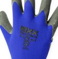 Floristik24 Zahradní rukavice Kixx modré, černé, velikost 10