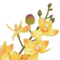 Floristik24 Malá orchidej Phalaenopsis umělá žlutá 30cm