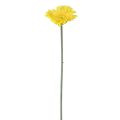Floristik24 Umělé květiny Gerbera žlutá 45cm