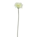 Floristik24 Umělé květiny Gerbera bílá 45cm