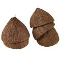Floristik24 Dekorace kokosové misky přírodní půl kokosky Ø7-9cm 5ks