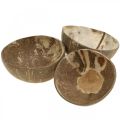 Floristik24 Coconut Deco Bowl Natural Polished 6ks