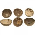 Floristik24 Coconut Deco Bowl Natural Polished 6ks