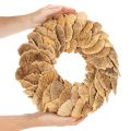 Věnec z houby, přírodní barva, na dekoraci dveří nebo zdi, 37 cm | Floristik24.cz