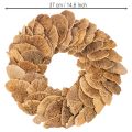 Věnec z houby, přírodní barva, na dekoraci dveří nebo zdi, 37 cm | Floristik24.cz