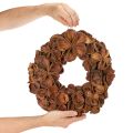 Věnec ze sušeného lotosu, dekorativní věnec na dveře, 35 cm | Floristik24.cz