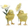 Floristik24 Veselé Velikonoce kuřátka, kuřátka s květinami, velikonoční dekorace na stůl, dekorativní kuřátka H11/11,5 cm, sada 2 ks