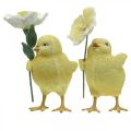 Floristik24 Veselé Velikonoce kuřátka, kuřátka s květinami, velikonoční dekorace na stůl, dekorativní kuřátka H11/11,5 cm, sada 2 ks