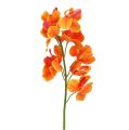 Floristik24 Umělá orchidej Mokara Orange 50cm 6ks
