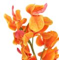 Floristik24 Umělá orchidej Mokara Orange 50cm 6ks