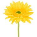 Floristik24 Umělé gerbery, slunečně žluté, zahradní květina, 47 cm, 6 kusů