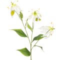 Floristik24 Umělý květ Gloriosa, bílý a žlutý, elegantní kvetoucí větvička k dekoraci, 80 cm, 3 kusy