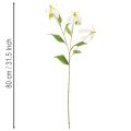 Umělý květ Gloriosa, bílý a žlutý, elegantní kvetoucí větvička k dekoraci, 80 cm, 3 kusy | Floristik24.cz