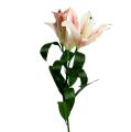 Floristik24 Umělá Lily Pink s Real Touch 100 cm