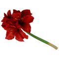 Umělé vánoční květiny Amaryllis Červené umělé květiny L40cm