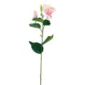 Floristik24 Umělé květiny Hibiscus Pink 62cm