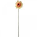 Floristik24 Umělý květ gerbery umělý květ meruňka Ø11cm L50cm