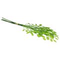 Floristik24 Umělá tráva dekorativní třesoucí se trávově zelená 47cm svazek 3 kusů