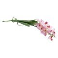 Floristik24 Umělá orchidej Růžová Bílá Umělá květina Orchidej 73cm