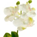 Floristik24 Umělé orchideje Umělý květ orchidej bílá 20cm