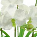 Floristik24 Umělé orchideje umělé květiny v bílém květináči 60cm