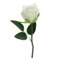 Floristik24 Umělé růže ve svazku bílé 30cm 8ks