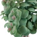 Floristik24 Umělý eukalyptus umělé rostliny k nalepení 18cm 4ks