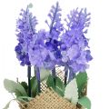 Floristik24 Umělá levandule umělá květina levandule v jutovém sáčku bílá/fialová/modrá 17cm 5ks