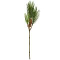 Floristik24 Umělá borovicová větev s šiškami 3 větve Zelenohnědá 60cm