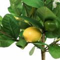 Floristik24 Umělý citroník v květináči Lemon tree H57cm