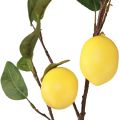 Floristik24 Umělá citronová ratolest dekorativní větev se 3 žlutými citrony 65cm