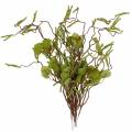 Floristik24 Umělá větev s jehnědami, březově zelená kytice, májka 9ks