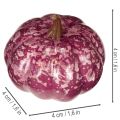 Sada mini dýňových dekorací, podzimní a halloweenské dekorace, různé barvy, 4 cm, 24 kusů | Floristik24.cz