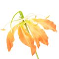 Umělý květ Gloriosa oranžová s
