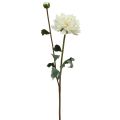 Floristik24 Umělá květina Dahlia White Umělá květina s poupatem V57cm