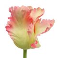 Floristik24 Umělá květina, papoušek tulipán růžový, jarní květina 63cm