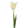Floristik24 Umělá květina, papoušek tulipán bílozelený, jarní květina 69cm
