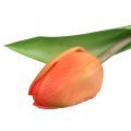 Floristik24 Umělá květina Tulip Orange Real Touch jarní květina V21cm