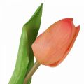 Floristik24 Umělá květina Tulip Peach Real Touch jarní květina V21cm