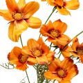 Floristik24 Košík na šperky Umělé květiny Cosmea Orange V51cm 3ks