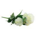 Floristik24 Umělé květiny dekorativní jiřiny umělé bílé 50cm