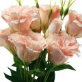 Floristik24 Umělé květiny Eustoma Lisianthus růžová 52cm 5ks